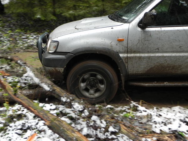 terrano-1.jpg